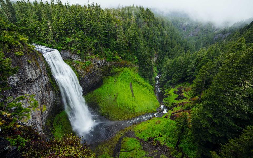 A waterfall pouring into a mossy green gorge surrounded by pine forest